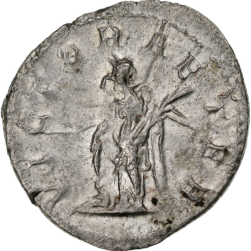 Gordius III,
Antonianos,
243-244