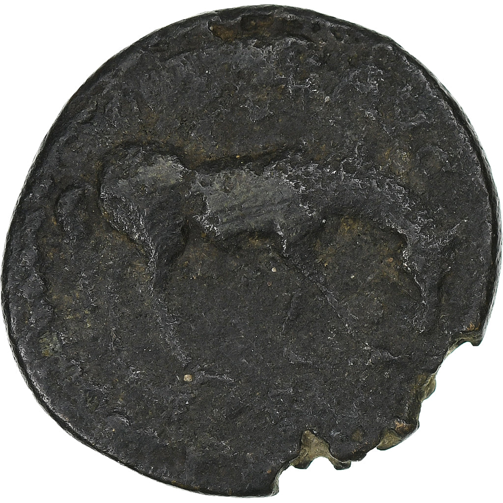Trója,
Severus Alexander,
Æ