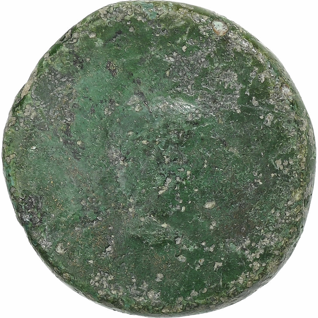 Germanicus a Drusus,
Æ Jednotka,
14-19