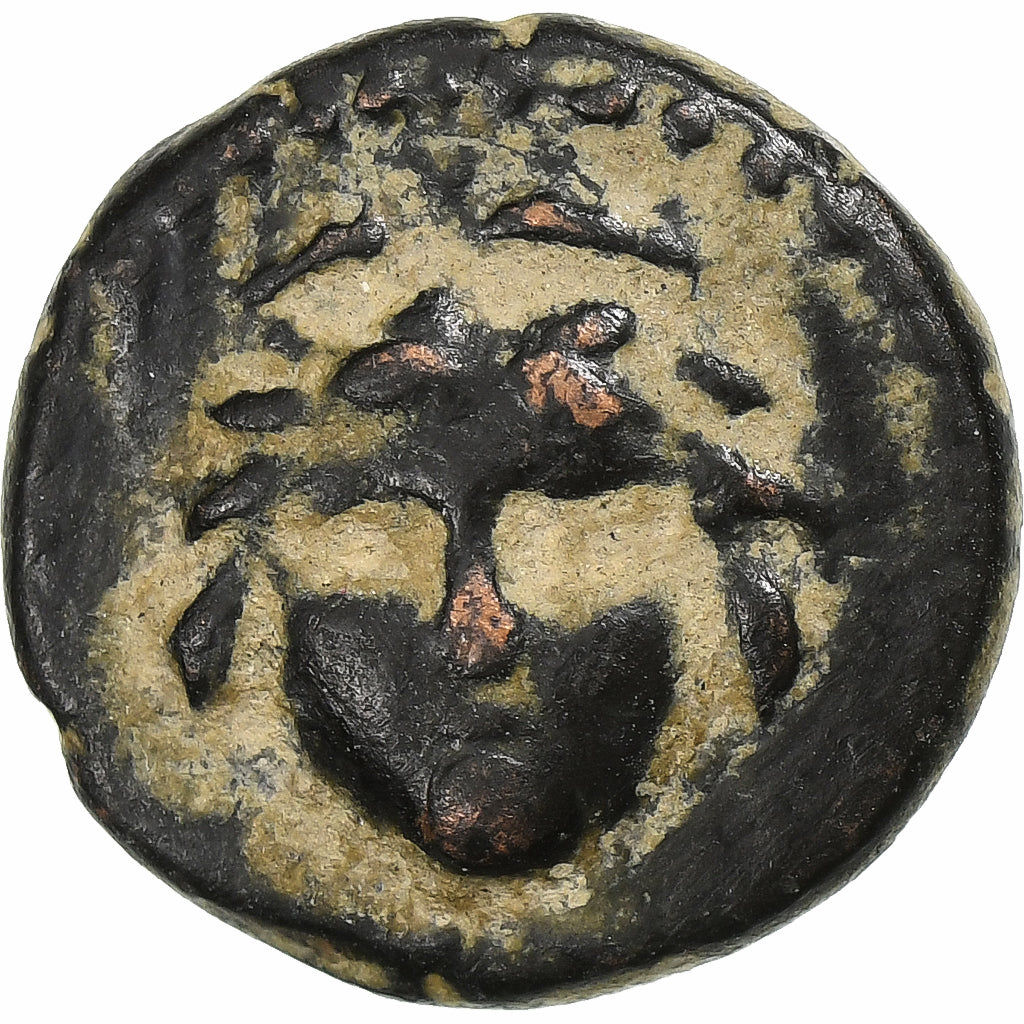 Lycaonia,
Vespasianus,
Æ Jednotka