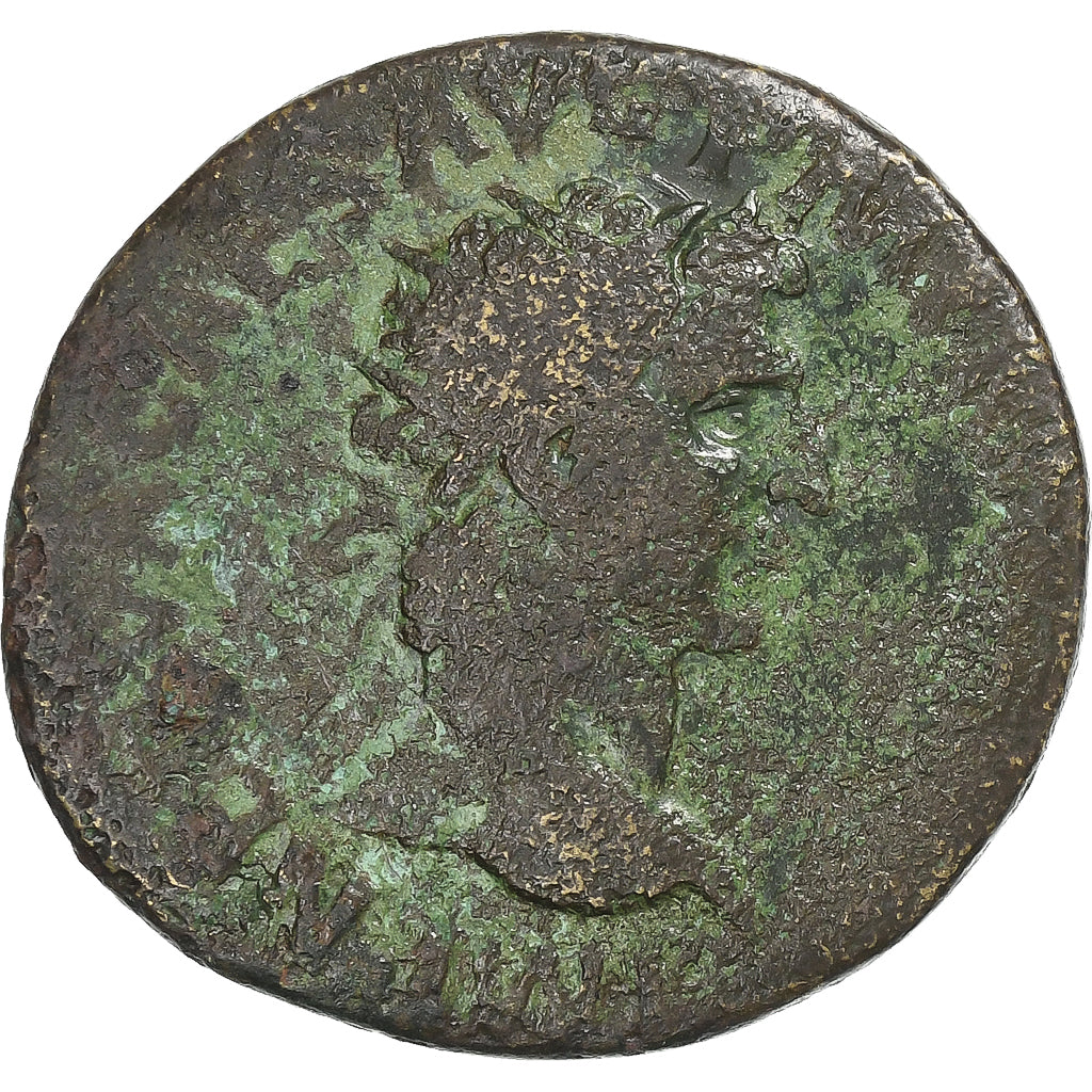 nerv,
dupontius,
96-98