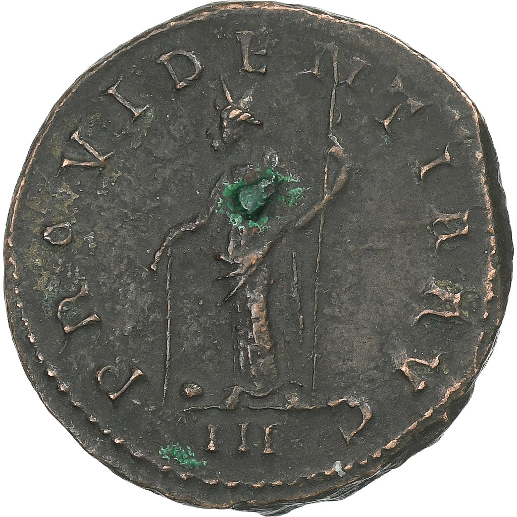 floriana,
Antonianos,
276