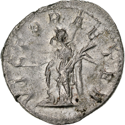 Gordius III, 
  
  Antonianos, 
  
  243-244