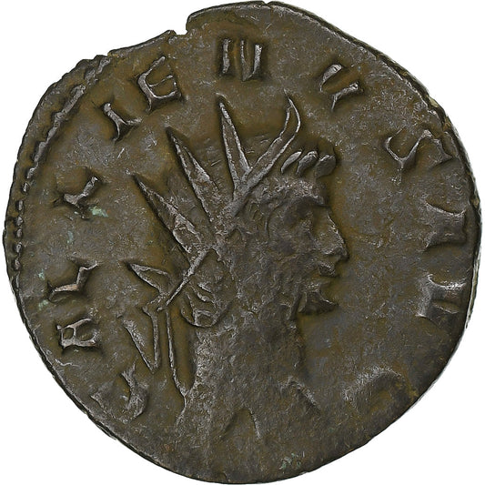 Galen, 
  
  Antonianos, 
  
  260-268