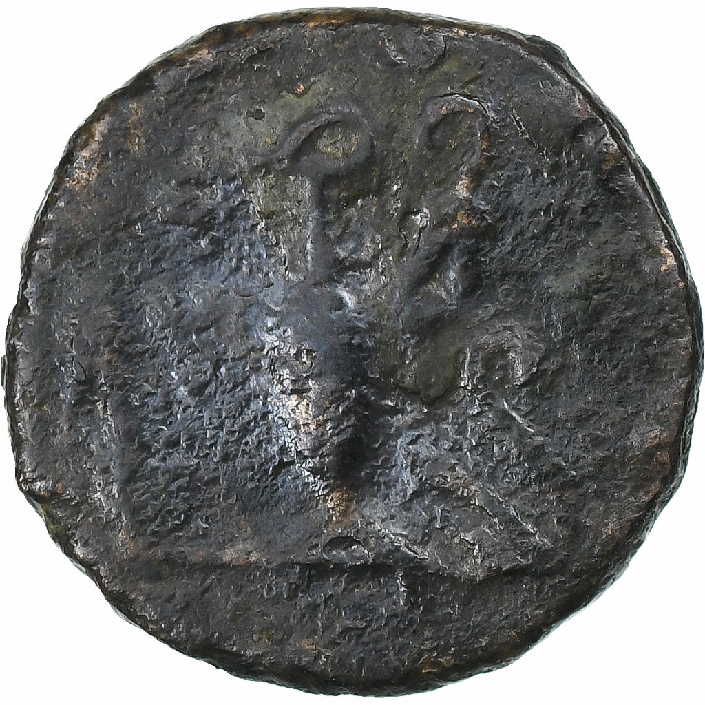 Tetricus II?, 
  
  Antonianos, 
  
  271-274