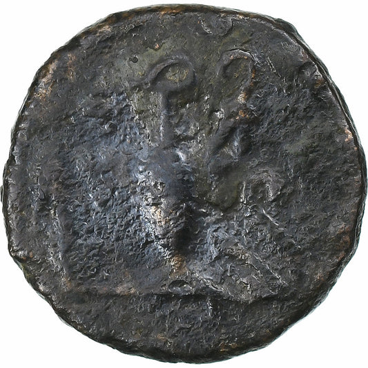 Tetricus II?, 
  
  Antonianos, 
  
  271-274