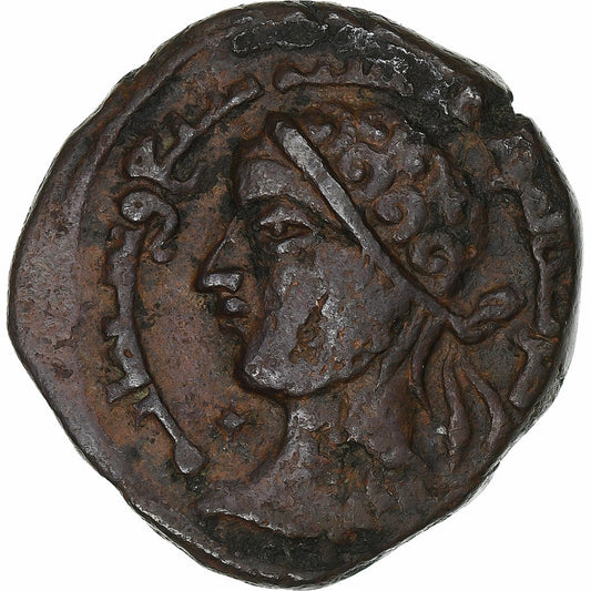 Zangides z Mosulu, 
  
  Izz ad-Din Mas'ud II, 
  
  Dirham