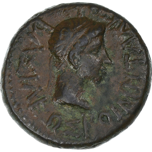Rhoemetalces I a Augustus,
 
 Bronz Æ,
 
 27 pred Kristom – 14 po Kr