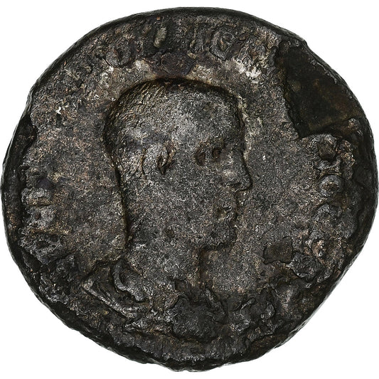 Seleucus a Pieria, 
  
  Herennius Etruscan, 
  
  Tetradrachm