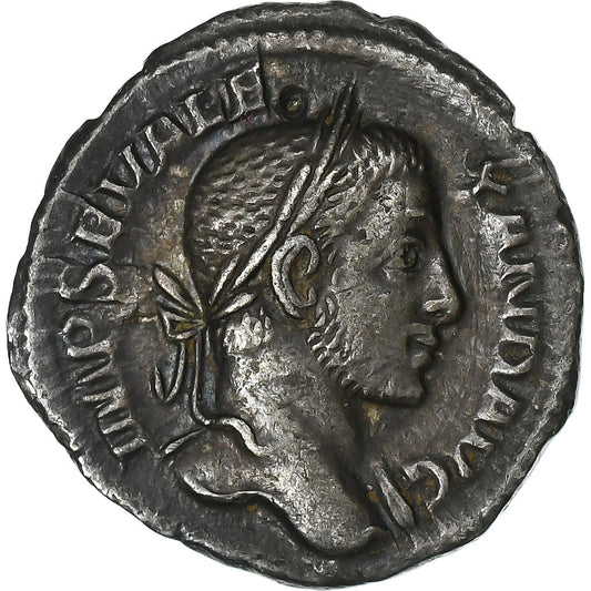 Severus Alexander, 
  
  dinár, 
  
  229