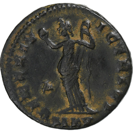 Galéria Valeria, 
  
  Follis, 
  
  308-309