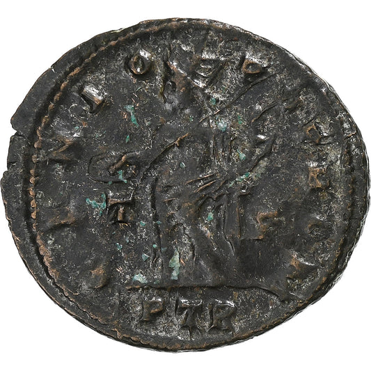 Licinius I. 
  
  Follis, 
  
  310-313