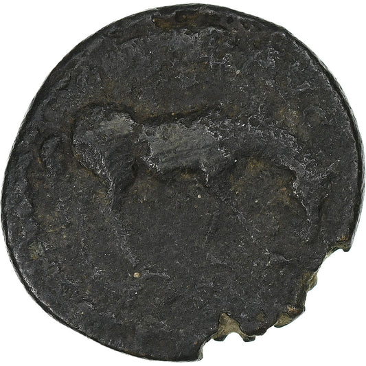 Trója, 
  
  Severus Alexander, 
  
  Æ