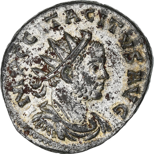 Tacitus, 
  
  Antonianos, 
  
  275
