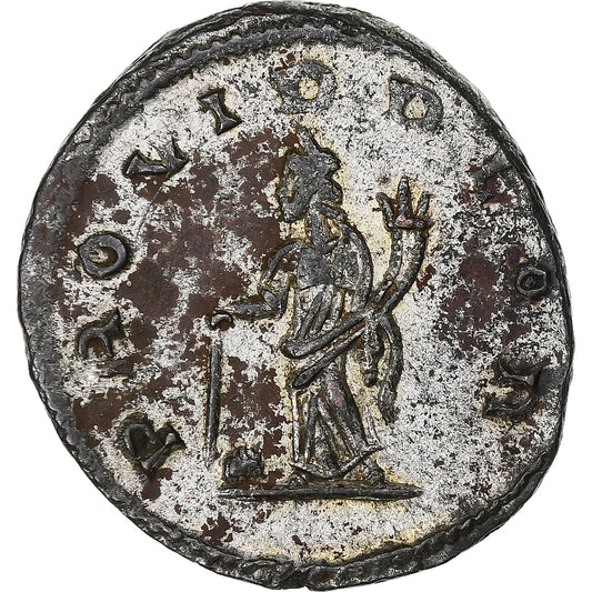 Tacitus, 
  
  Antonianos, 
  
  275