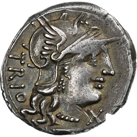 lukrécia,
 
 dinár,
 
 136 pred Kr