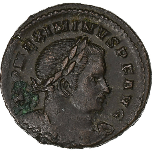 Maximin II, 
  
  Follis, 
  
  310-313