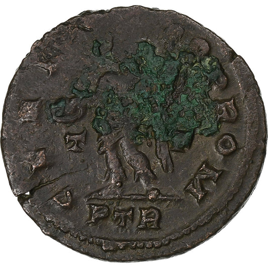 Maximin II, 
  
  Follis, 
  
  310-313