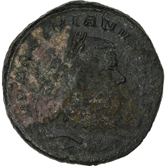 Maximianos, 
  
  1/4 hliníkovej fólie, 
  
  300