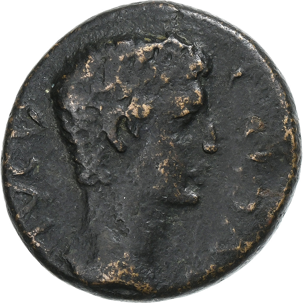 Corinthia,
 
 Caligula,
 
 Æ Jednotka