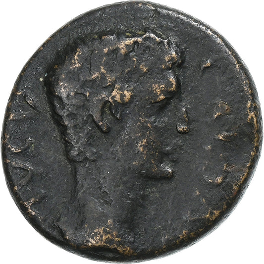 Corinthia,
 
 Caligula,
 
 Æ Jednotka