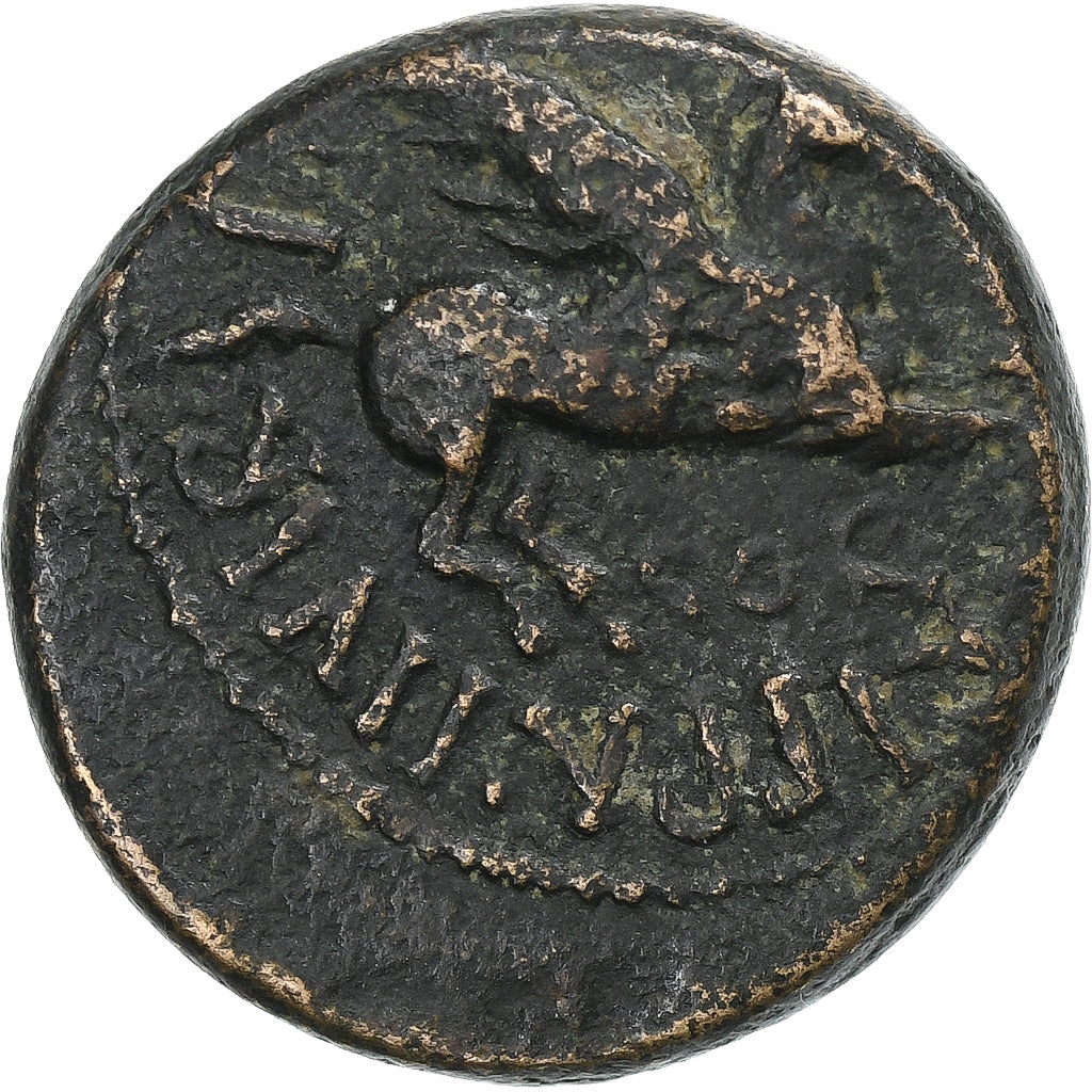 Corinthia,
 
 Caligula,
 
 Æ Jednotka