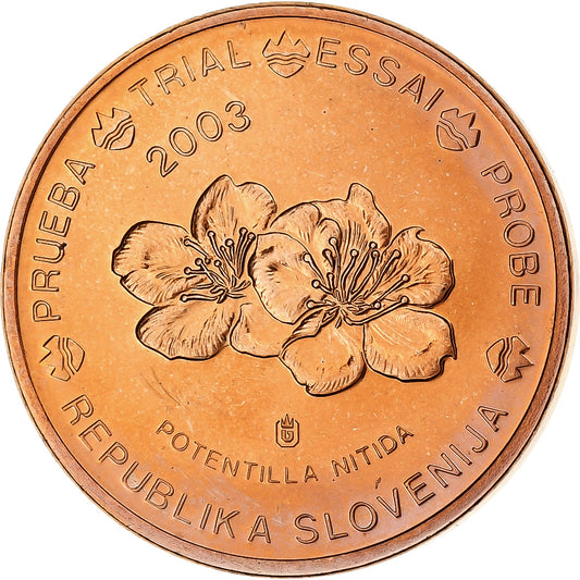 Slovinsko,
 
 2 euro centy,
 
 Münze súkromná zmluva