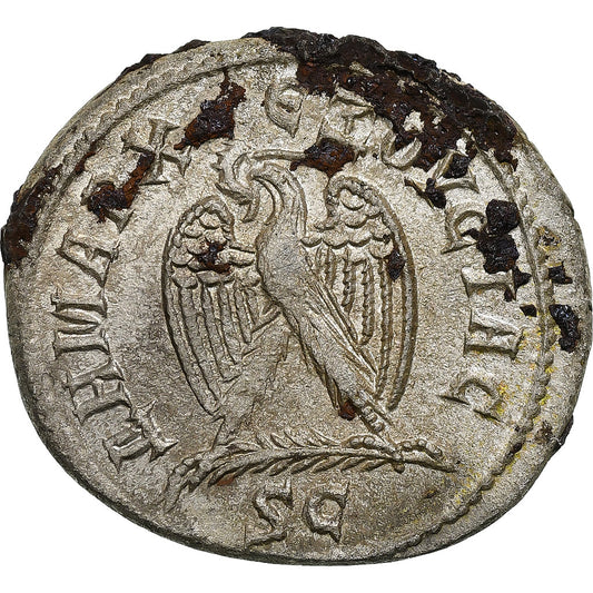 Seleucus a Pieria, 
  
  Otacilia Severa, 
  
  Tetradrachm