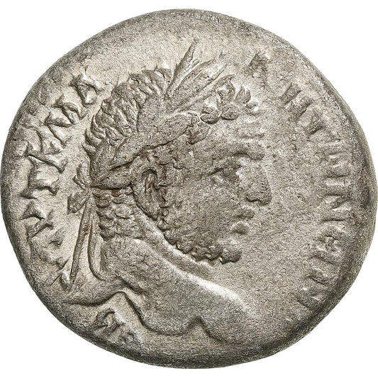 Seleucus a Pieria, 
  
  Caracalla, 
  
  Tetradrachm