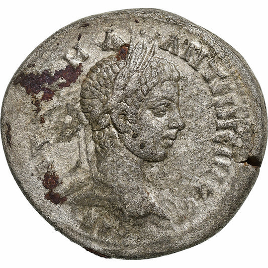Seleucus a Pieria, 
  
  Elagabalus, 
  
  Tetradrachm