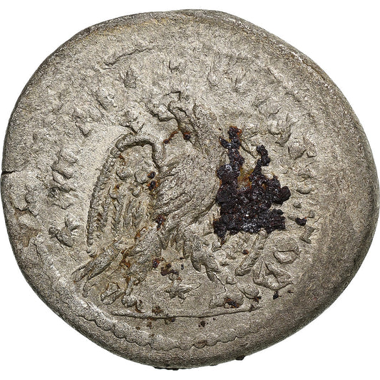 Seleucus a Pieria, 
  
  Elagabalus, 
  
  Tetradrachm