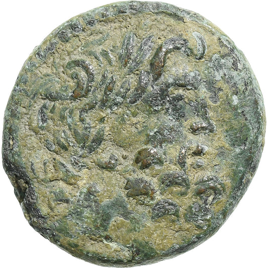 Seleucus a Pieria,
 
 august,
 
 Æ Jednotka