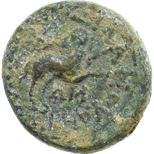 Seleucus a Pieria,
 
 august,
 
 Æ Jednotka