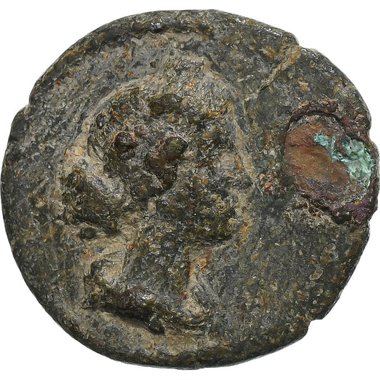 oddanosť,
 
 Commodus,
 
 Æ Jednotka