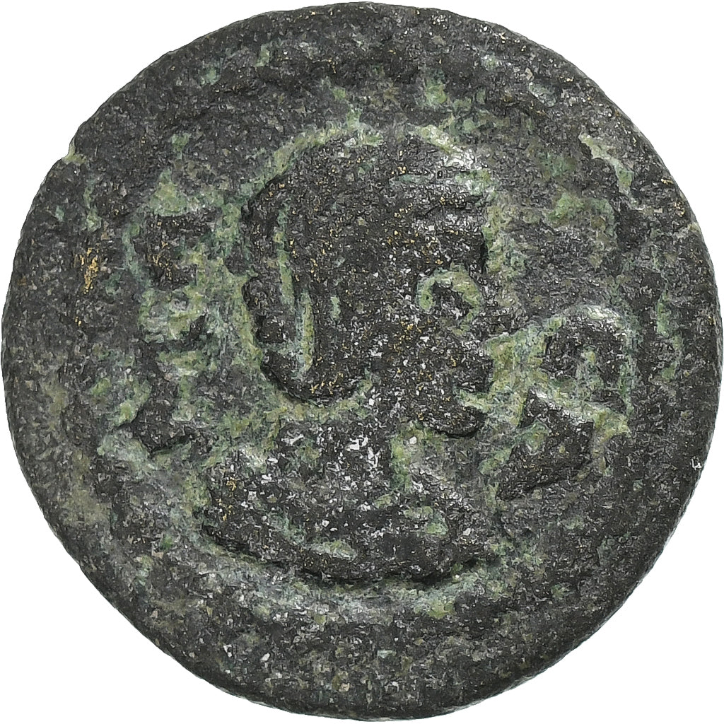 Lydia,
 
 Julia Maesa,
 
 Æ Jednotka