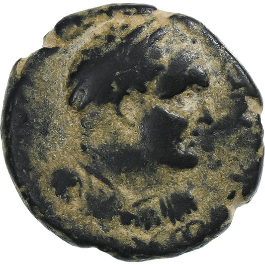 Lycaonia,
 
 titus,
 
 Æ Jednotka