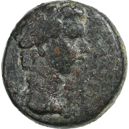 Frygia,
 
 Tiberius,
 
 Æ Jednotka