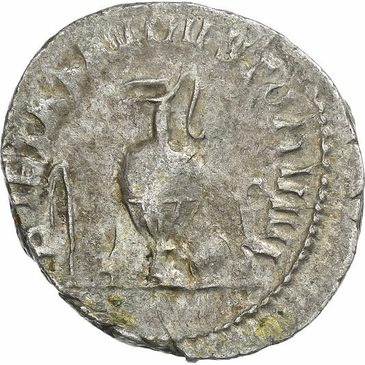 Herennius Etruscan, 
  
  Antonianos, 
  
  250-251