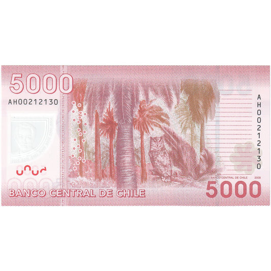 Čile, 
  
  5000 pesos, 
  
  2009